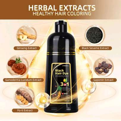 Shampoing Colorant Noir 3 en 1 – Black Hair Dye (500 ml) image 4