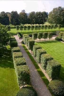 Aménagement Jardin Espace Vert Paysager avec gazon naturel image 6