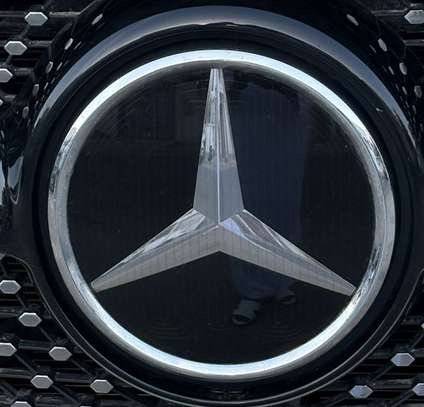Mercedes Gle 450 pack AMG image 10