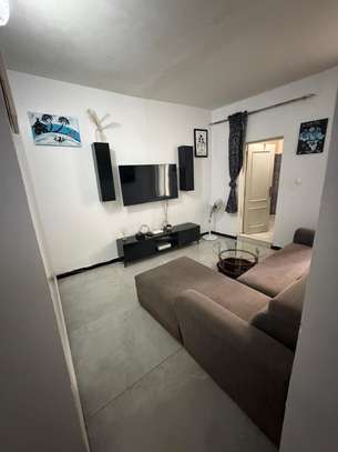 Grand studio meublé image 3