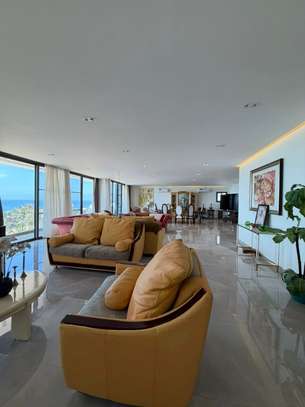 PENTHOUSE SUR LA CORNICHE DES ALMADIES image 7