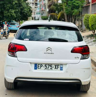 C4 image 3