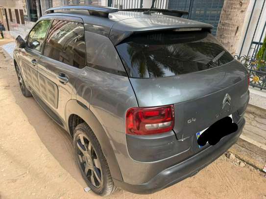 C4 Cactus 2015 image 2