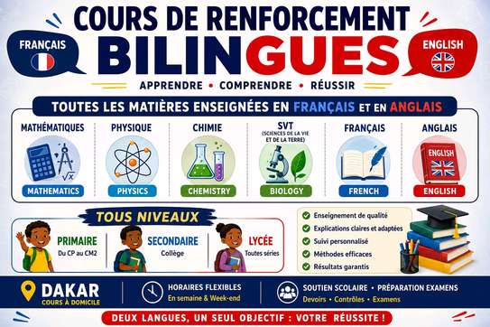 Cours de renforcement bilingues Français - Anglais à Dakar image 4