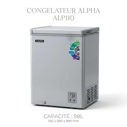 CONGELATEUR 98LITRES ALPHA HORIZONTAL GRIS ALP110 image 2