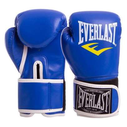 Everlast Gants de boxe Professionnel image 2