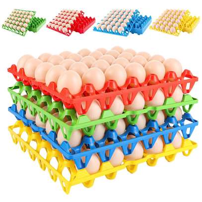 Alveoles poule de 30 œufs plastique image 3