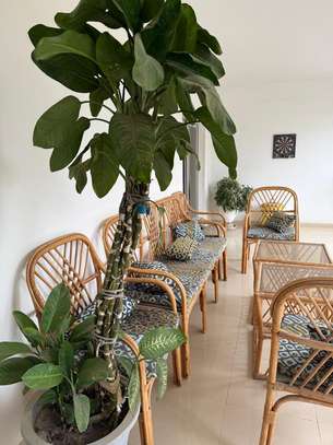 VILLA A LOUER AUX ALMADIES image 5