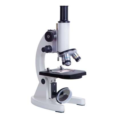 Microscope image 6