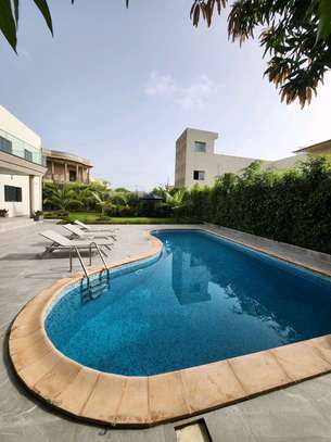 Piscine et jardin aux mamelles image 2