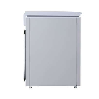 CONGELATEUR LG HORIZONTAL 300LITRES image 6