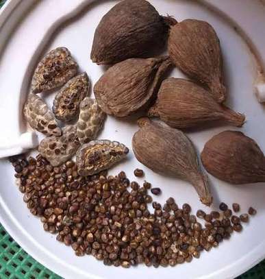 Poivre de Guinée image 3