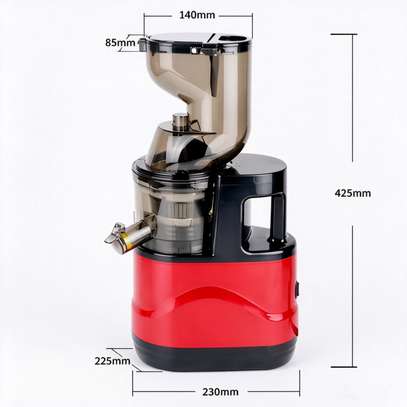 Extracteur de jus lent 1000 W, presse-agrumes à froid image 8