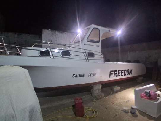 2 Bateaux à vendre image 7