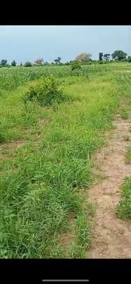 Terrain d’angle agricole ou habitation image 3