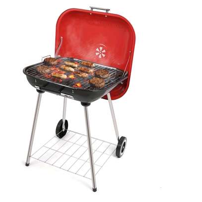 Barbecue de charbon image 6