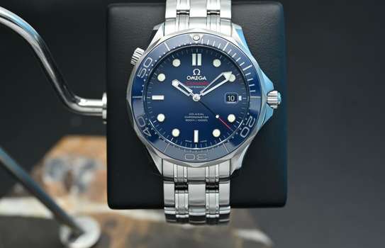 Omega Seamaster Professional image 2