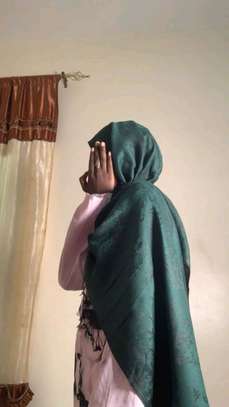 Pashminas image 8