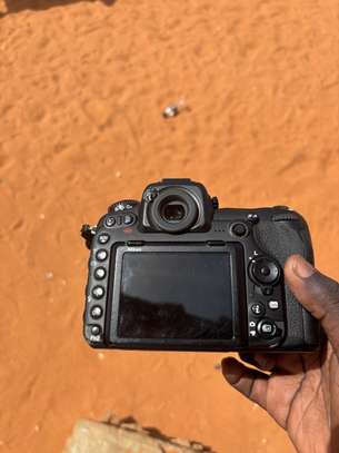 Nikon d500 image 2
