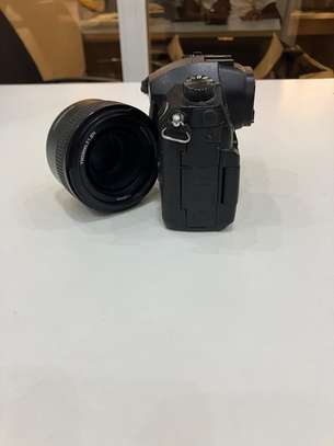 Lumix GH5 image 2