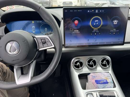 Denza X PHEV 2.0T Flagship 2020 image 4