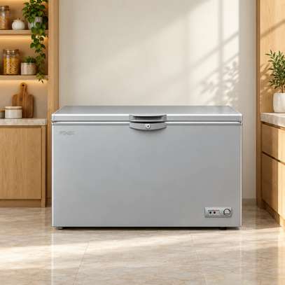 CONGELATEUR 500LITRES FINIX HORIZONTAL GRIS FIN500 image 3