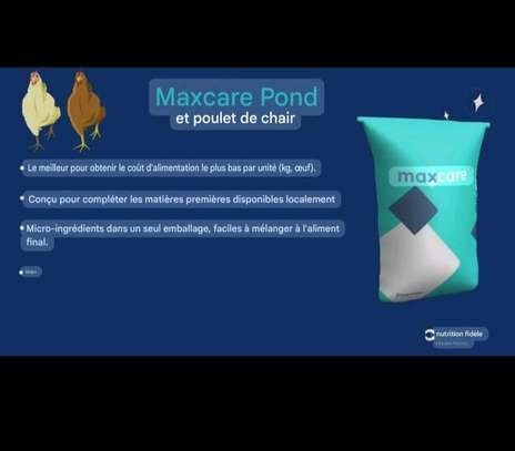 Premix maxi care image 2