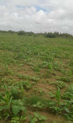 Terrain / champ à vendre par hectare à maléme hodar image 2