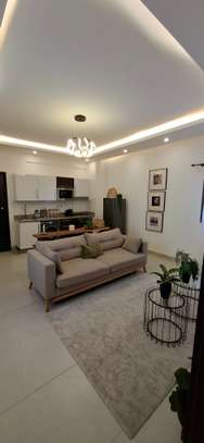 APPARTEMENT F2 MEUBLÉ, ÉQUIPÉ ET SÉCURISÉ A LOUER image 2