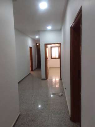 APPARTEMENT A LOUER CITE CHEICKH AMAR image 7