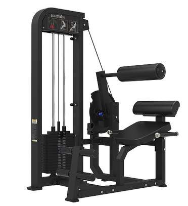 Machine musculation jambes noire poids réglable image 2