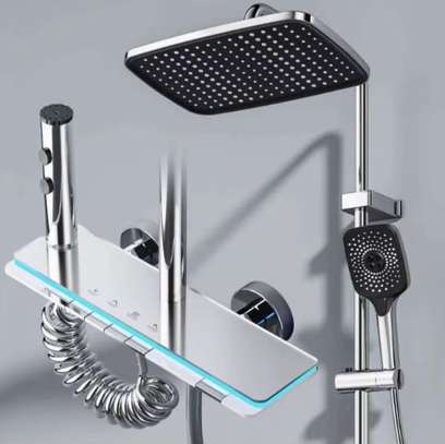Sanitaires en vente image 4