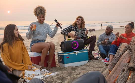 JBL Système de microphone sans fil à deux canaux + récepteur image 2