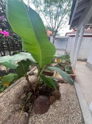 VILLA A VENDRE DANS UNE RESIDENCE SECURISEE 24/24 à Saly 🌊 image 3