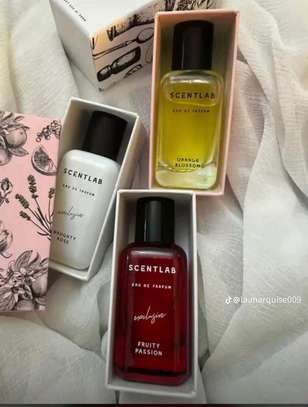 Scentlab image 2