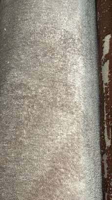 Moquette Salon image 9