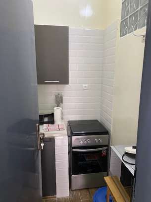 Studio meublé à louer au Front de terre image 3