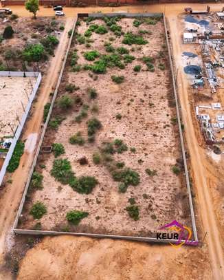 Terrain à vendre allée des Milliardaires, Ngaparou image 4