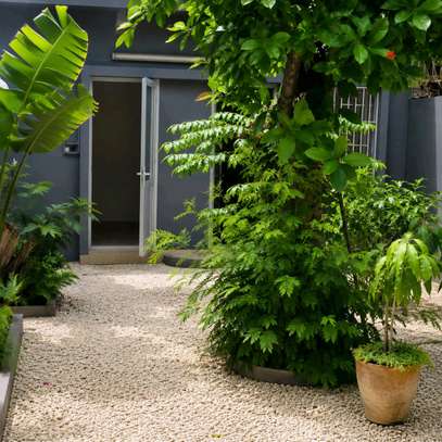 villa louer mermoz image 3
