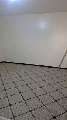 À louer grand appartement image 5
