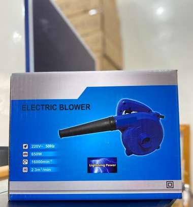 Souffleur Électrique Portable 650W image 3