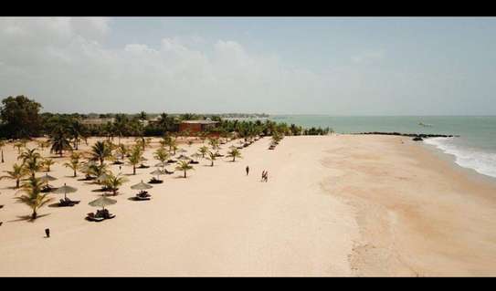 Des Terrains  à Saly image 3