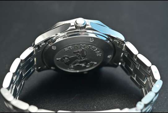Omega Seamaster Professional image 4