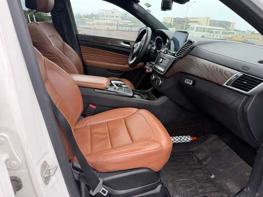 GLE image 9
