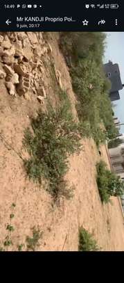 4500 m² à vendre à Saly center à Mbour sur la petite côte image 10