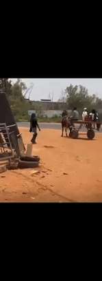 Terrain de 300m2 à Keur Ndiaye lo image 3