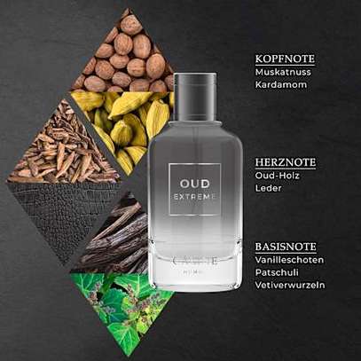 Câline Oud Extrême eau de parfum homme élégant image 2