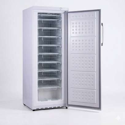 CONGELATEUR 9TIROIRS CHANGER VERTICAL  GRILLAGE BLANC BDS10 image 2