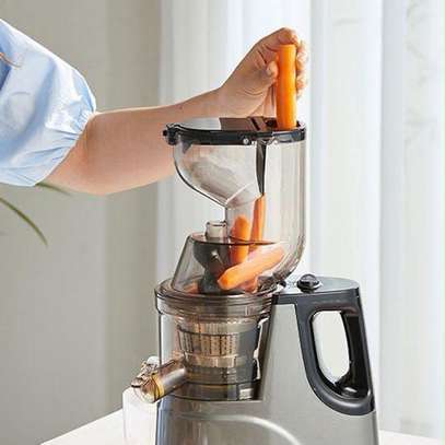 Naturale Juicer extracteur de jus lent 1,2L argenté image 2