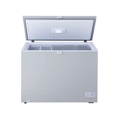CONGELATEUR LG HORIZONTAL 300LITRES image 5